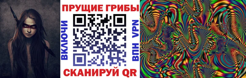 Галлюциногенные грибы Psilocybe  где купить наркоту  Можга 